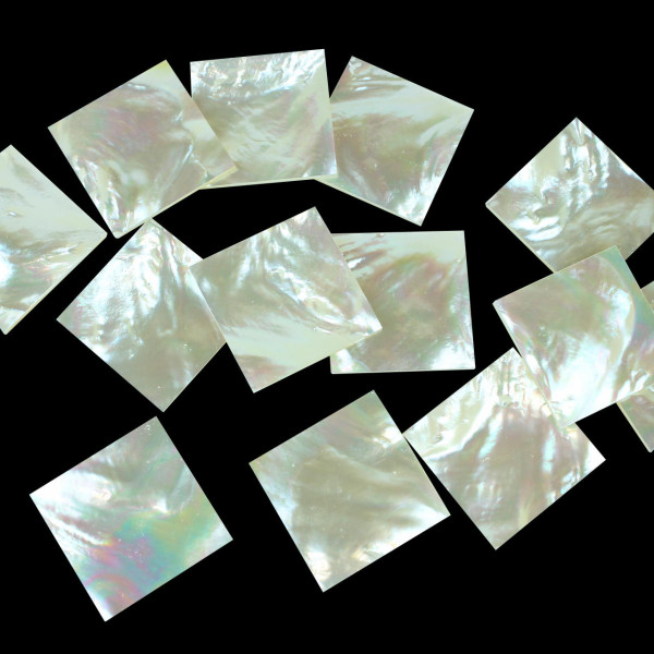 REAL MOTHER OF PEARL INLAY BLANKS REAL MOTHER OF PEARL INLAY BLANKS