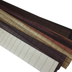 SLOTTED FRETBOARDS GUITAR - MULTIPLE CHOICE