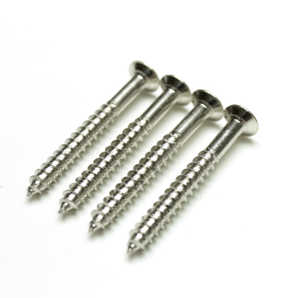 SET OF 4 CHROME NECK PLATE SCREWS