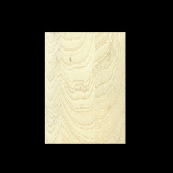 SWAMP ASH 3-PIECE SELECTED BODY BLANK #11