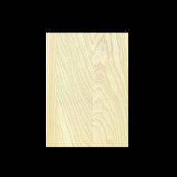 SWAMP ASH 3-PIECE SELECTED BODY BLANK #14