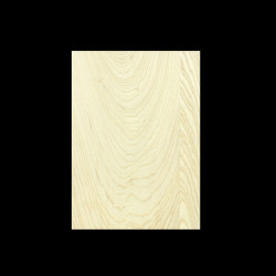 SWAMP ASH 3-PIECE SELECTED BODY BLANK #19
